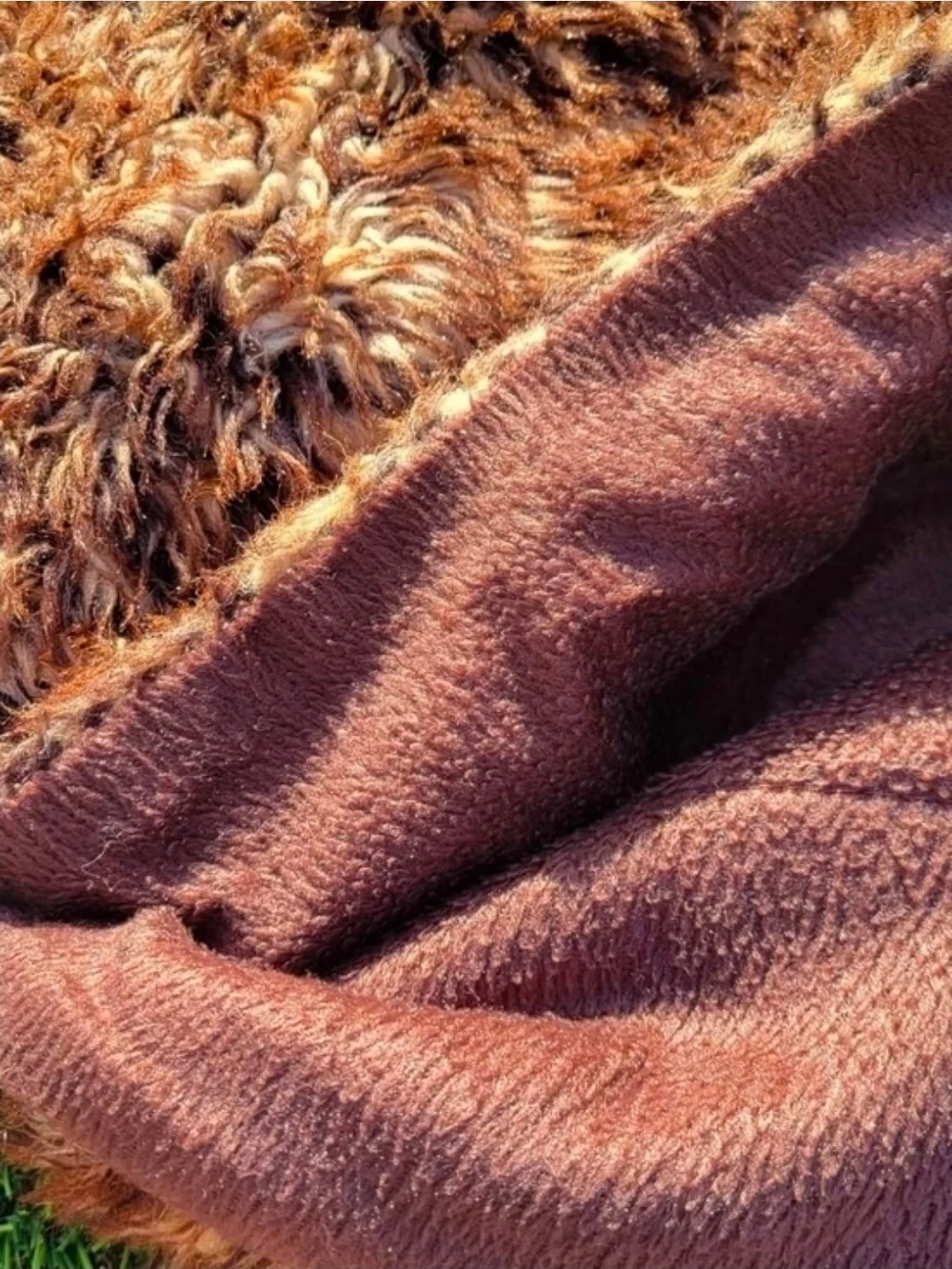 Cozy Faux Fur Throw Blanket - Rich Brown Faux Fur Blanket Throw 2 sided